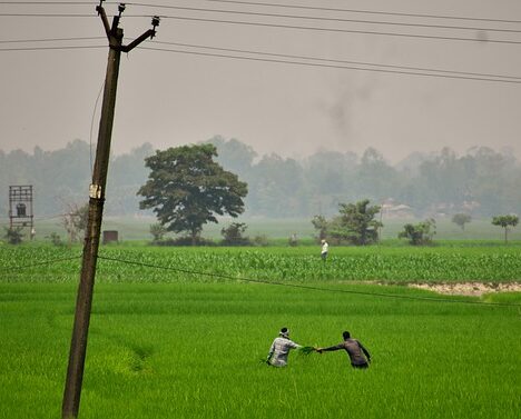 ચાલો તમારા પ્રેમની